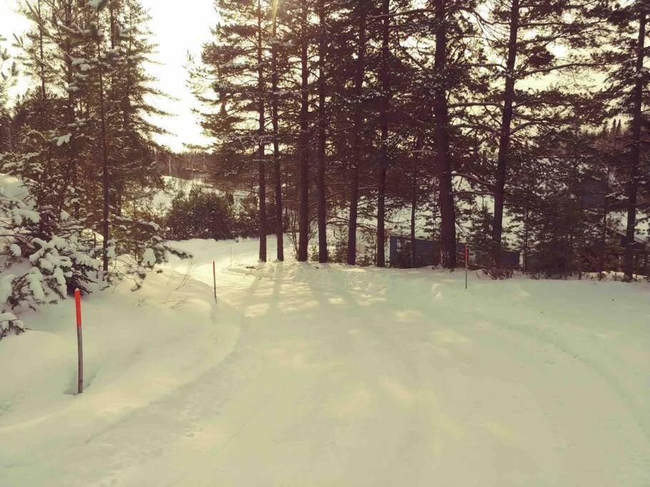 Le Chalet Bleu, Aux Pieds Des Monts-Valin Saint-David-de-Falardeau Εξωτερικό φωτογραφία