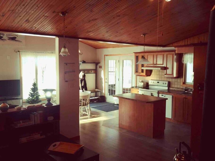 Le Chalet Bleu, Aux Pieds Des Monts-Valin Saint-David-de-Falardeau Εξωτερικό φωτογραφία